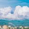 兔子舞