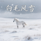白毛风雪