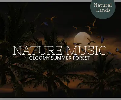 South Island Naure Music Project