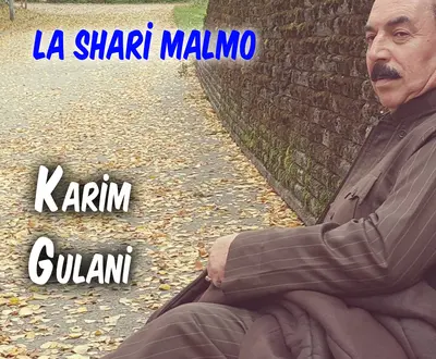 Karim Gulani