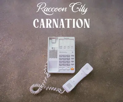 Raccoon City