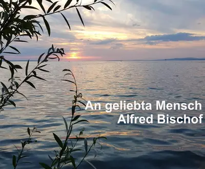 Alfred Bischof