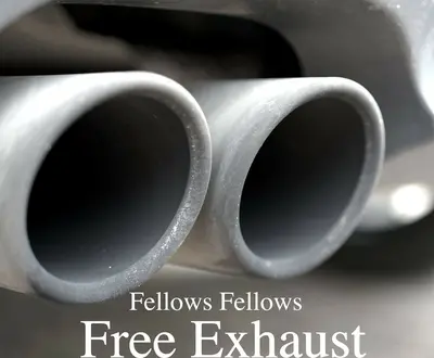Fellows Fellows