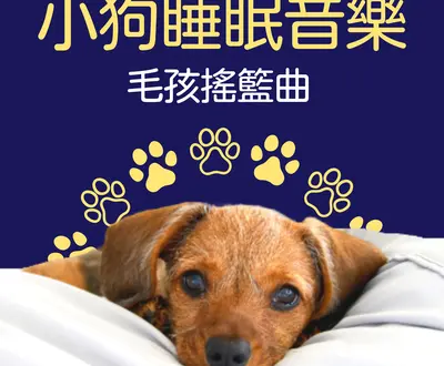 狗摇篮曲