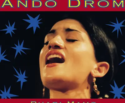 Ando Drom