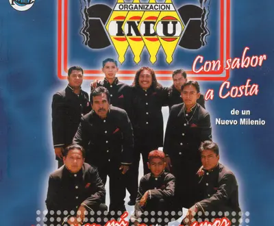 Organización Indu