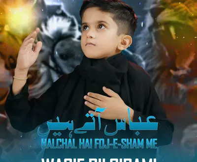 Wasif Bilgirami