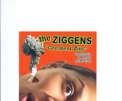 The Ziggens