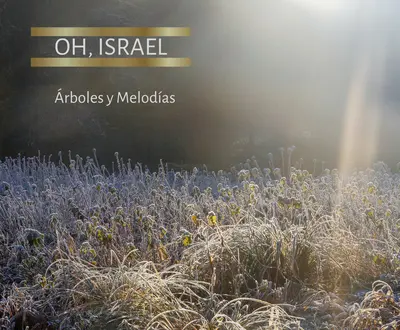 Árboles y Melodías