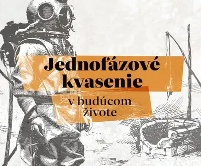 Jednofázové kvasenie