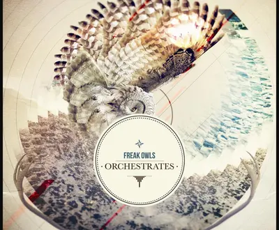 Freak Owls
