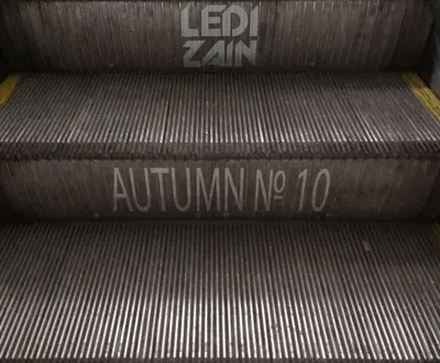 LediZain