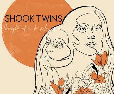 Shook Twins