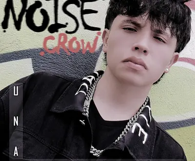 Noise Crow
