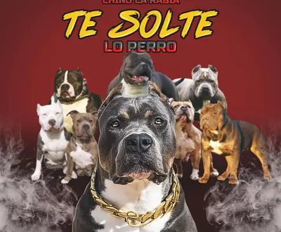 Chino la Rabia