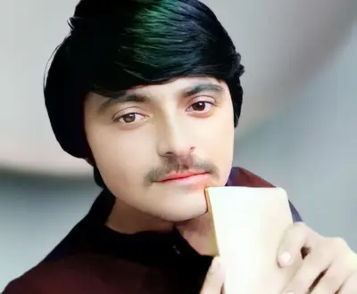 Gull Mashom