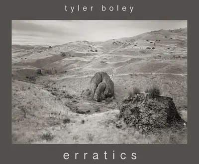 Tyler Boley
