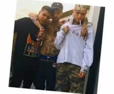 Milkavelli