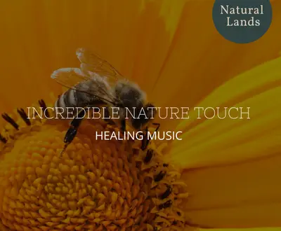 Nature Music Magic Series