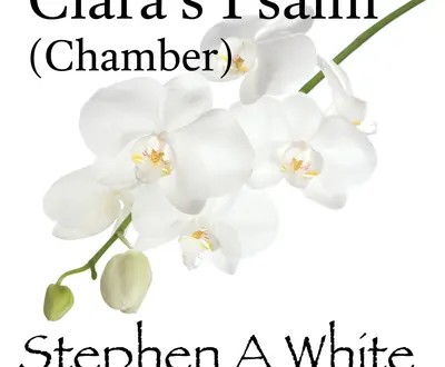 Stephen A White