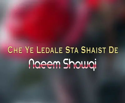 Naeem Showqi