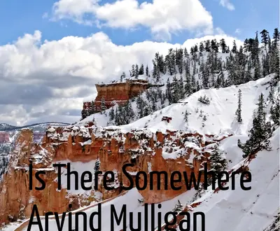 Arvind Mulligan