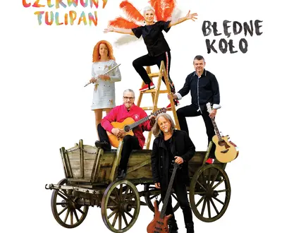 Czerwony Tulipan