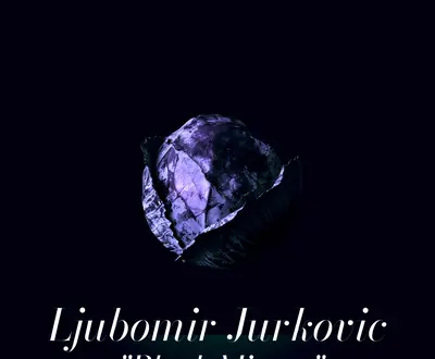 Ljubomir Jurkovic