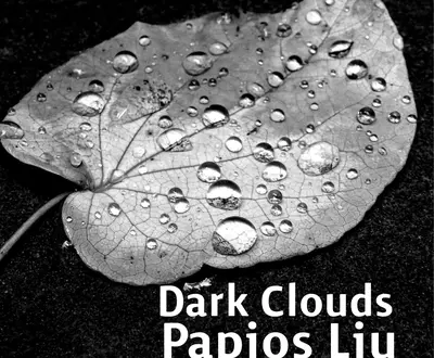 Papios Liu