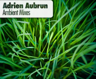 Adrien Aubrun