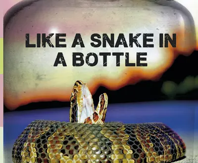LIKE A SNAKE IN A BOTTLE