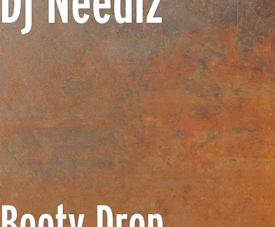 Dj Needlz