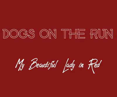 Dogs on the Run