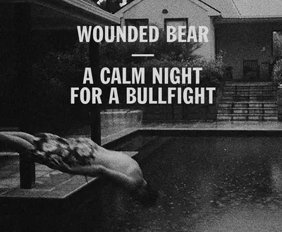 Wounded Bear