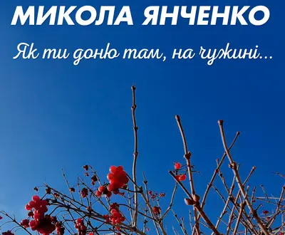 Микола Янченко