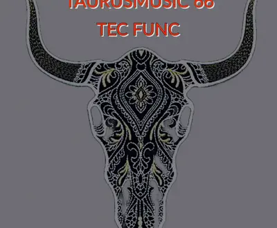 TaurusMusic 66