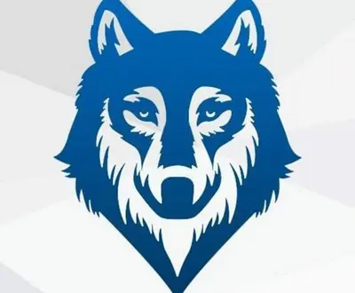 MrLonely Wolf