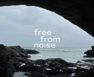 Free From Noise