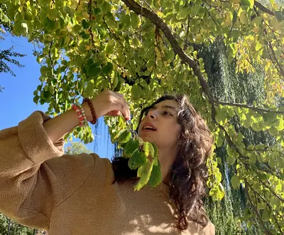 Korina Zambrano