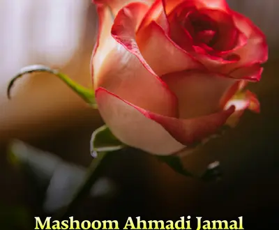 Mashoom Ahmadi Jamal