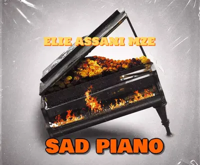 Elie Assani Mze