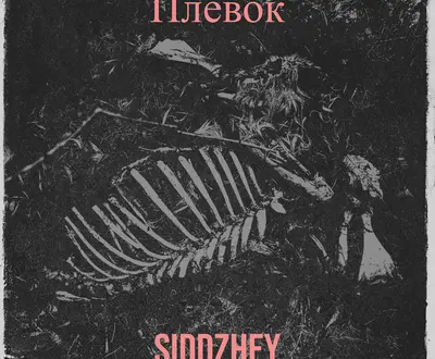 SIDDZHEY
