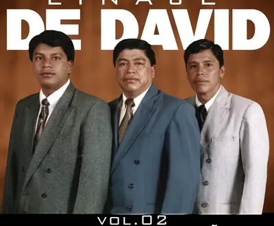 Linaje De David