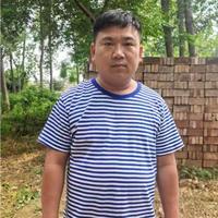 战杰演员头像