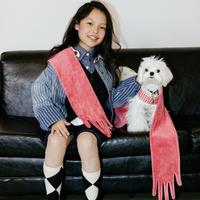 杨唐演员头像