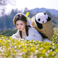 刘欣羽演员头像
