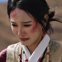 慈仁央宗演员头像