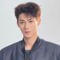 爱尔法金演员头像